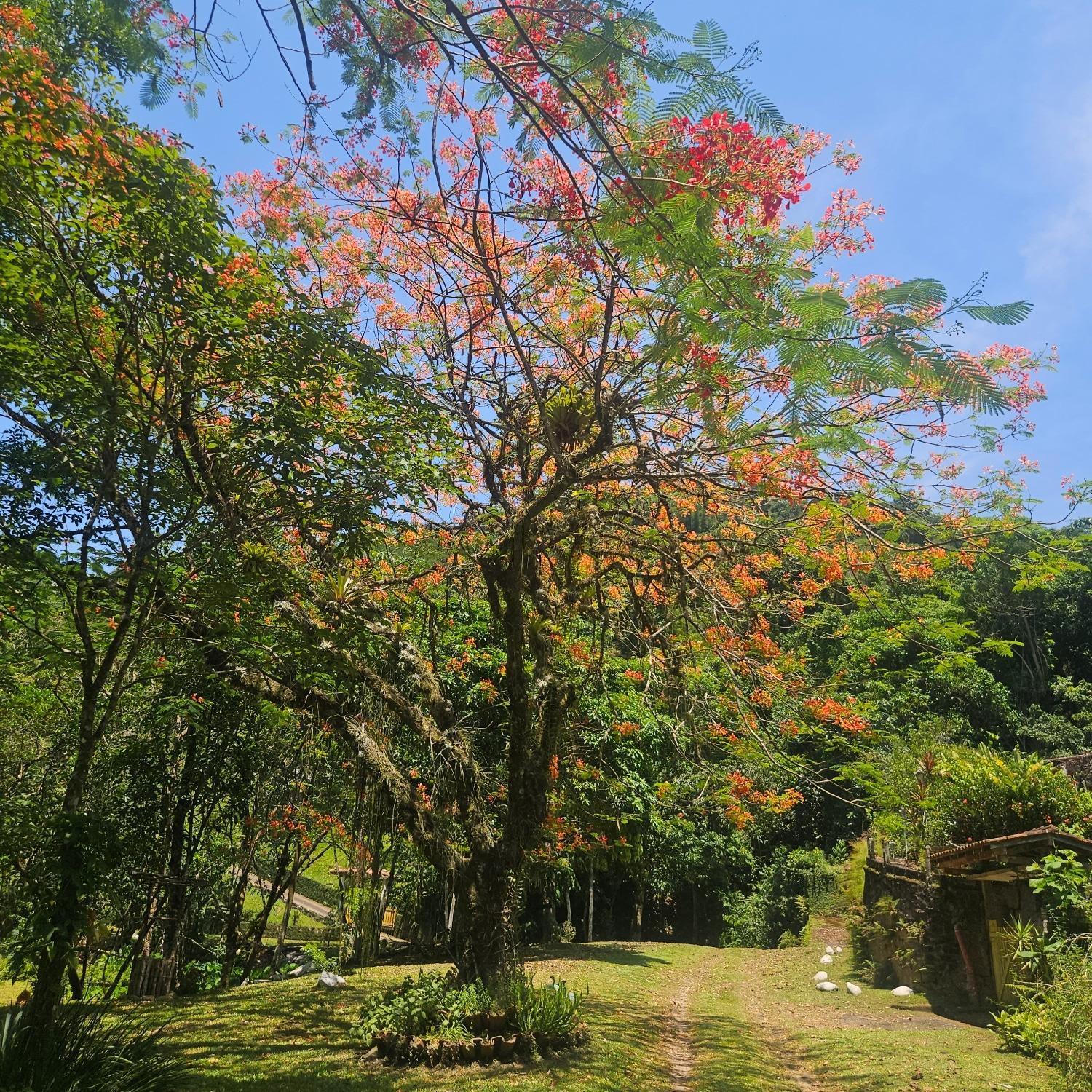 הוילה גואפימירים Sitio Cristo Redentor מראה חיצוני תמונה